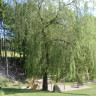 Ferienhof & Campingplatz Schweinmühle