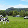 Campingpark Schellental