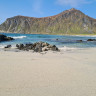 Lofoten Beach Camp