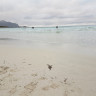 Lofoten Beach Camp