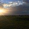 Lofoten Beach Camp