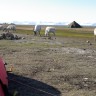 Longyearbyen Camping