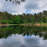 Waldcamping Olympiasee