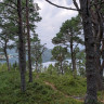 Kolvereid Familiecamping