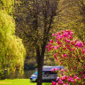 Campingplatz Altschmiede