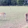 Campingpark Halbinsel Raatsch