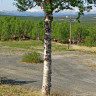 Dovrefjell Lodge