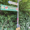 Campingplatz Wachenheim