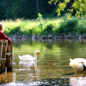 Camping Wagenburg