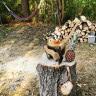Camping Edersee Paradies