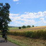 Spiegelburg Camping und Gasthaus