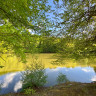 Schönsee-Camping