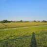 Elbdeich Camping Kollmar