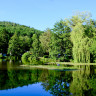 Naturresort Waldglück