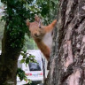 Naturcamping Lüneburger Heide