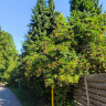 Campingplatz Stolzenau