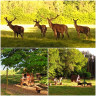 Campingpark Thräna