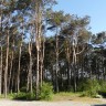 Sandnes camping- Vølstadskogen - Sandnes Campingplatz 