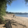 Camping Strandterrasse