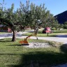Camping Sandvik