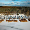Inselcamping Werder