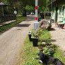Campingplatz am Gelterswoog