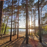 Waldcamping am Großsee