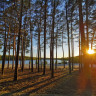 Waldcamping am Großsee