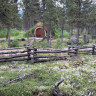 Sjodalen Hyttetun og Camping