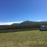 Sjodalen Hyttetun og Camping