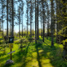 Nature Ferie