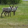 Fjordutsikten Motell & Camping AS