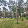 Pole Namiotowe 179