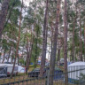 Camp 71 Gallus