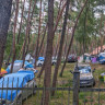 Camp 71 Gallus