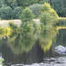 Bjeverödsdammen