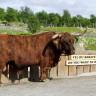 Langedrag Nature Park