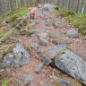 Petkeljärvi Center