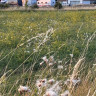Sj&ouml;sl&auml;tt
