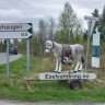 Tubbehaugen Camping
