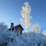 SFC H&auml;meenhelmi