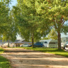 Pajda Mazur