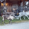 Båtstø Camping