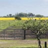 Stellplatz an der Pferdekoppel