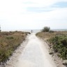 Bingsmarkens Camping - direkt am Strand 