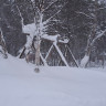 Sevetin Baari