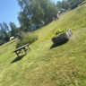 Rossön Camping