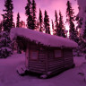 Northern Lights Cabins