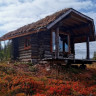 Northern Lights Cabins