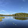 Tandsj&ouml;farm